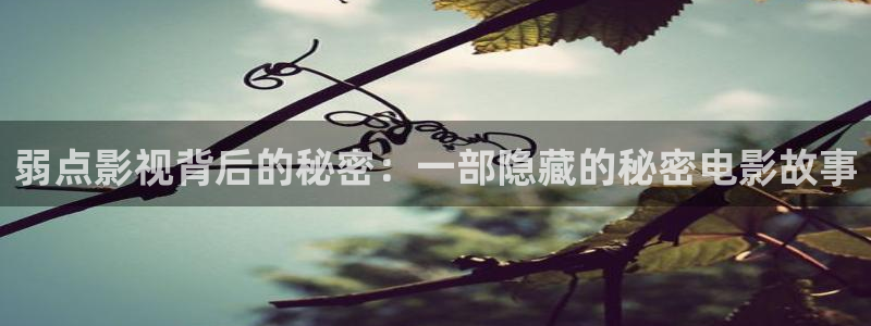 新视觉6080电影电视网