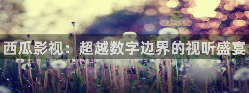 新视觉教育