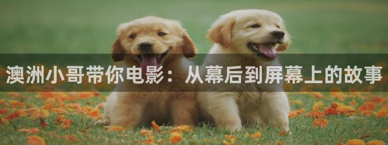 新视觉策驰影院电影