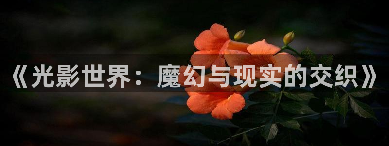 新视觉影院 6080