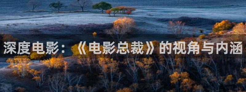 新视觉影视官网在线观看