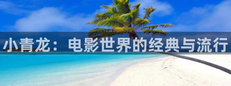 新视觉官网在线观看