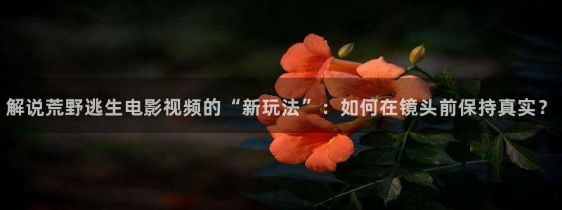6080新视觉影院播放器