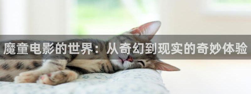 新视觉电视电影网下载