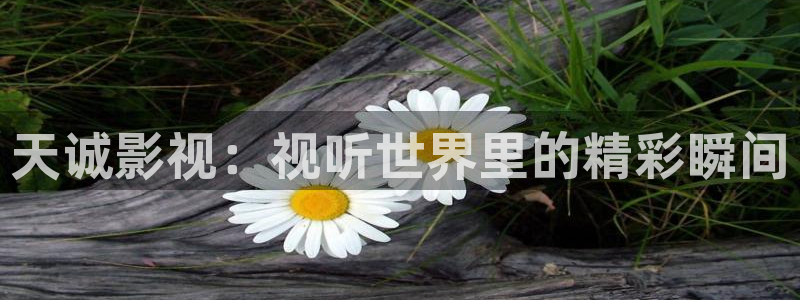 www.新视觉影院