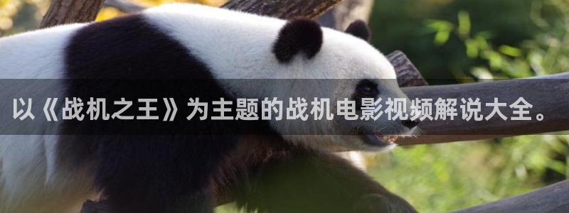 新视觉英超体育节目表