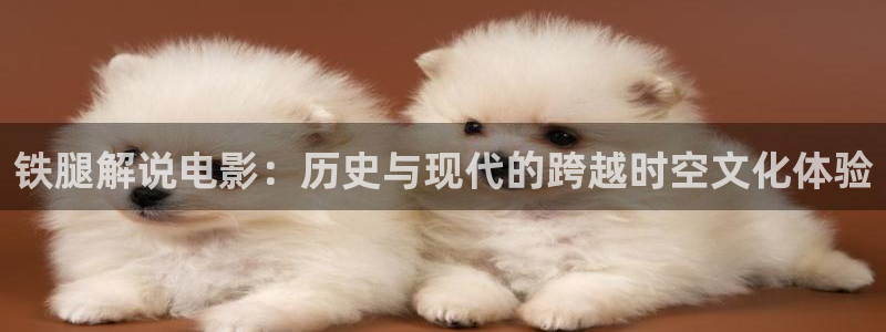新视觉影院午夜剧场