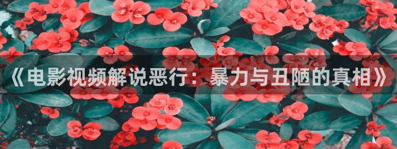 yy8090新视觉电视剧免费上线