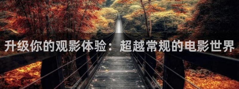 yy6029新视觉电视剧在线观看免费版第二季