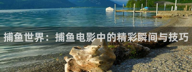 by新视觉影院