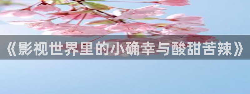 新视觉频道