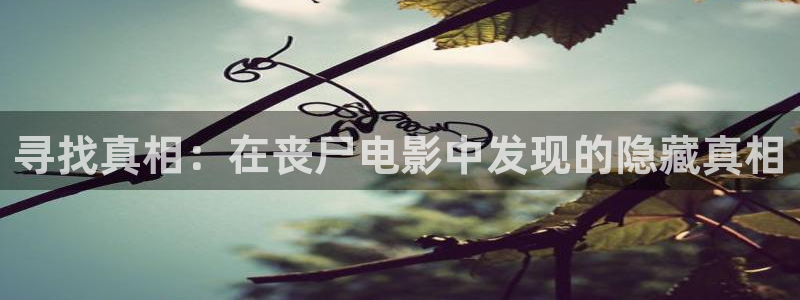 新视觉4410影院