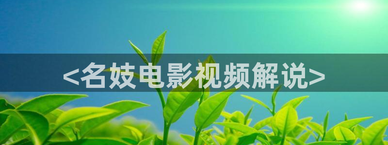 新视觉午夜影院
