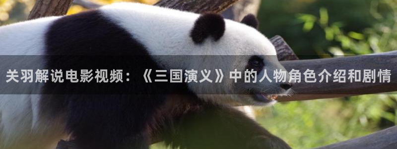 6090新视觉电影理论电视剧