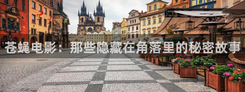 新闻图片