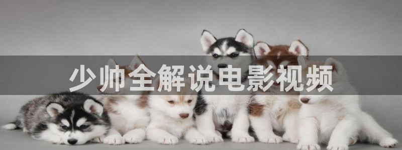 6080伦理新视觉影院