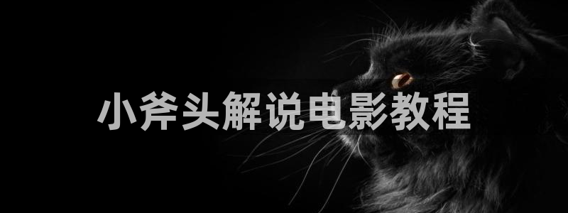 新视觉yy6090高清频道可投屏