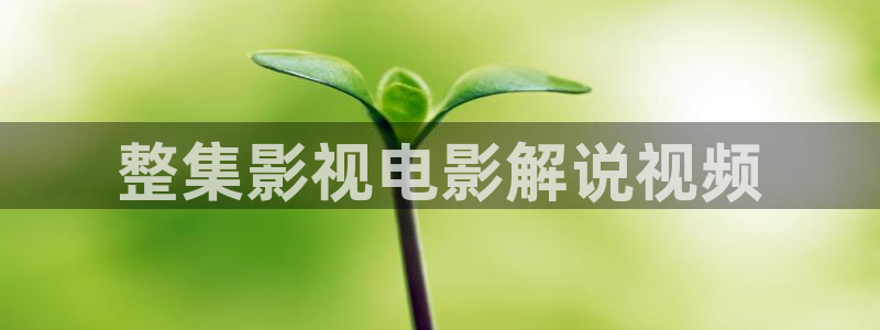 厦门光合新视觉科技有限公司