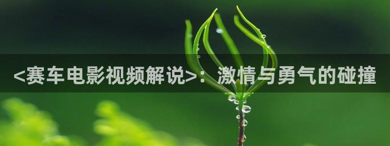 6080新视觉视频播放器