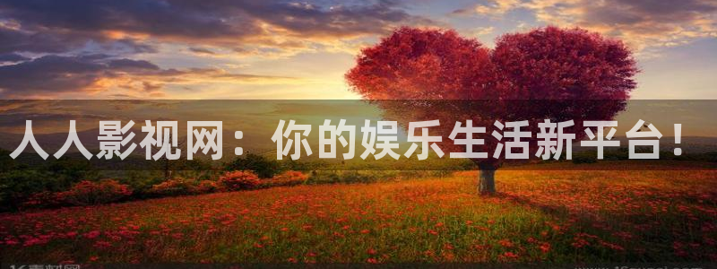 新视觉yy6080电视剧在线观看