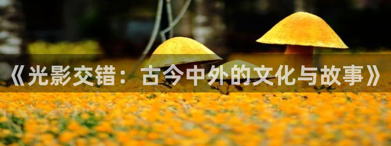 新视觉影院6080青苹果影院